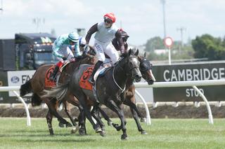 With an emphatic performance in New Zealand’s richest weight-for-age race, the On The Rocks took his prize-money earnings to $432,575.